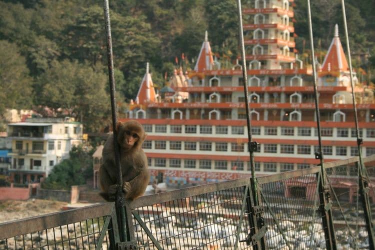 rishikesh by mattjkelley
